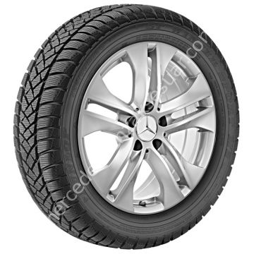 Mercedes Benz JANT 17''