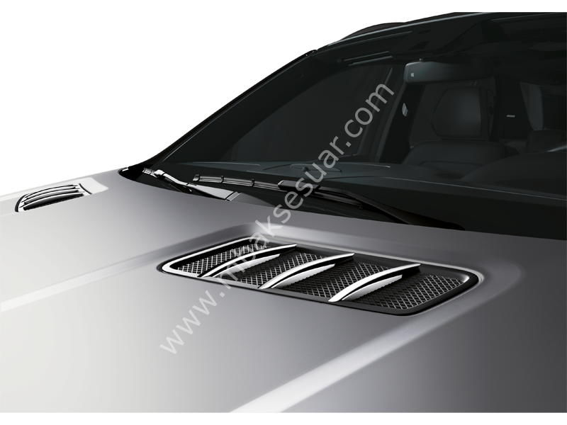 Mercedes Benz Motor Kaput Krom Lip Set