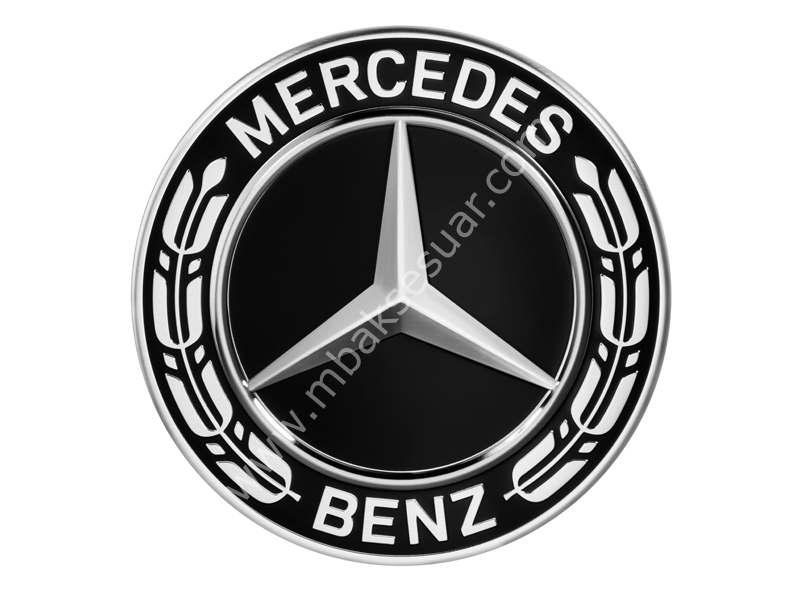 Mercedes Benz Jant Kapağı